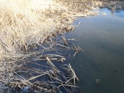 ファイル 1358-1.jpg