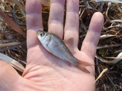 ファイル 1358-2.jpg