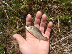 ファイル 1364-2.jpg