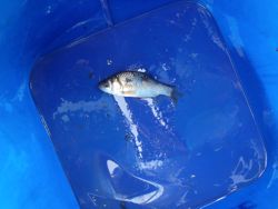 ファイル 1364-3.jpg