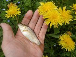 ファイル 1376-2.jpg