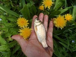 ファイル 1376-3.jpg