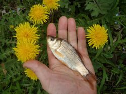 ファイル 1376-4.jpg