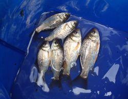 ファイル 1376-5.jpg