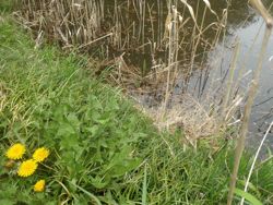 ファイル 1377-1.jpg