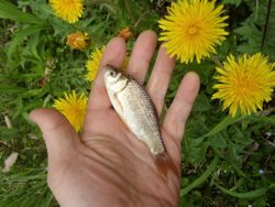 ファイル 1377-2.jpg