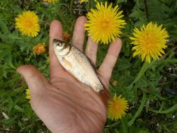 ファイル 1377-3.jpg