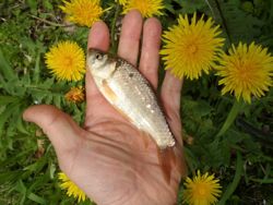 ファイル 1377-4.jpg