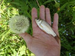 ファイル 1379-2.jpg