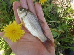 ファイル 1379-3.jpg