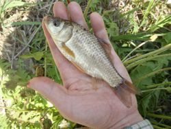 ファイル 1379-4.jpg