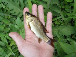 ファイル 1403-2.jpg