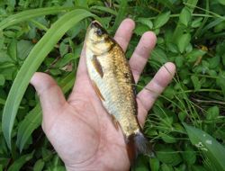 ファイル 1403-3.jpg