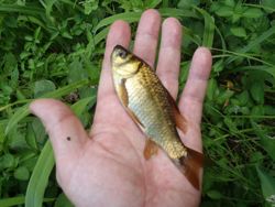 ファイル 1403-4.jpg