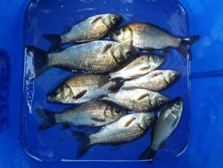 ファイル 1403-5.jpg