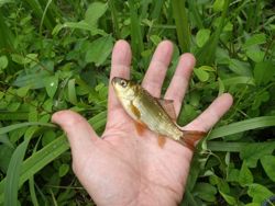 ファイル 1407-2.jpg