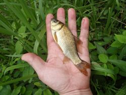 ファイル 1407-3.jpg