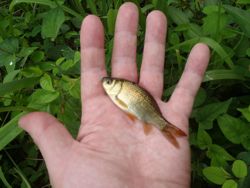 ファイル 1407-4.jpg