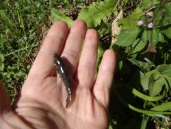 ファイル 1420-2.jpg