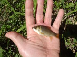 ファイル 1420-3.jpg