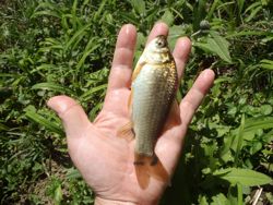 ファイル 1420-4.jpg