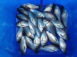 ファイル 1420-5.jpg