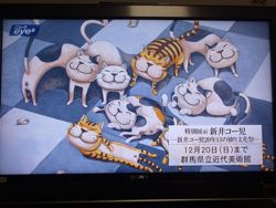 ファイル 1430-5.jpg