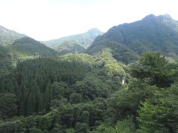 ファイル 1568-4.jpg