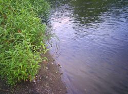 ファイル 1616-1.jpg