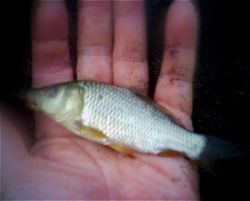 ファイル 1616-3.jpg