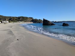 ファイル 1623-1.jpg