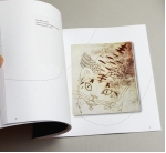 cat love book (1).jpg