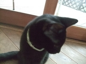 ファイル 1229-1.jpg