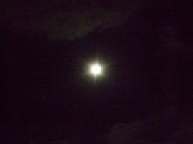 ファイル 2967-3.jpg