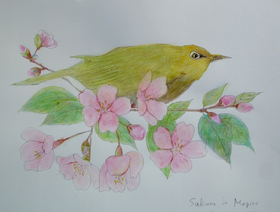 ファイル 3168-1.jpg