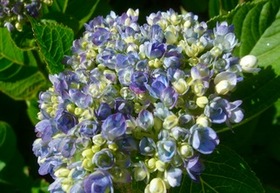 ファイル 3309-2.jpg