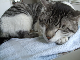 ファイル 334-1.jpg