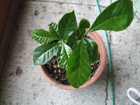 ファイル 421-1.jpg