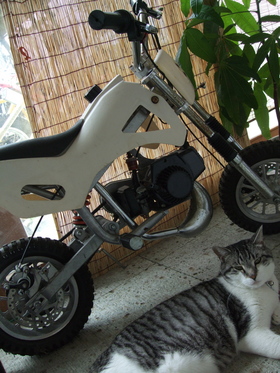 ファイル 437-1.jpg