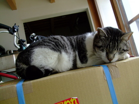 ファイル 657-1.jpg