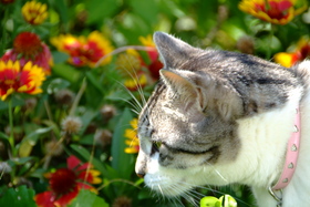 ファイル 819-1.jpg