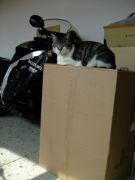 ファイル 1014-1.jpg