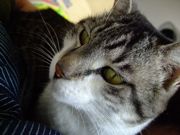 ファイル 1017-1.jpg