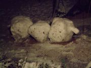 ファイル 1022-4.jpg