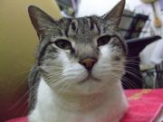 ファイル 1028-1.jpg