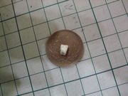 ファイル 1036-1.jpg