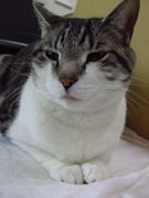 ファイル 1037-1.jpg