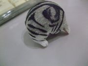 ファイル 1042-2.jpg