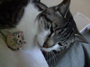 ファイル 1042-4.jpg