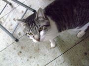 ファイル 1046-1.jpg